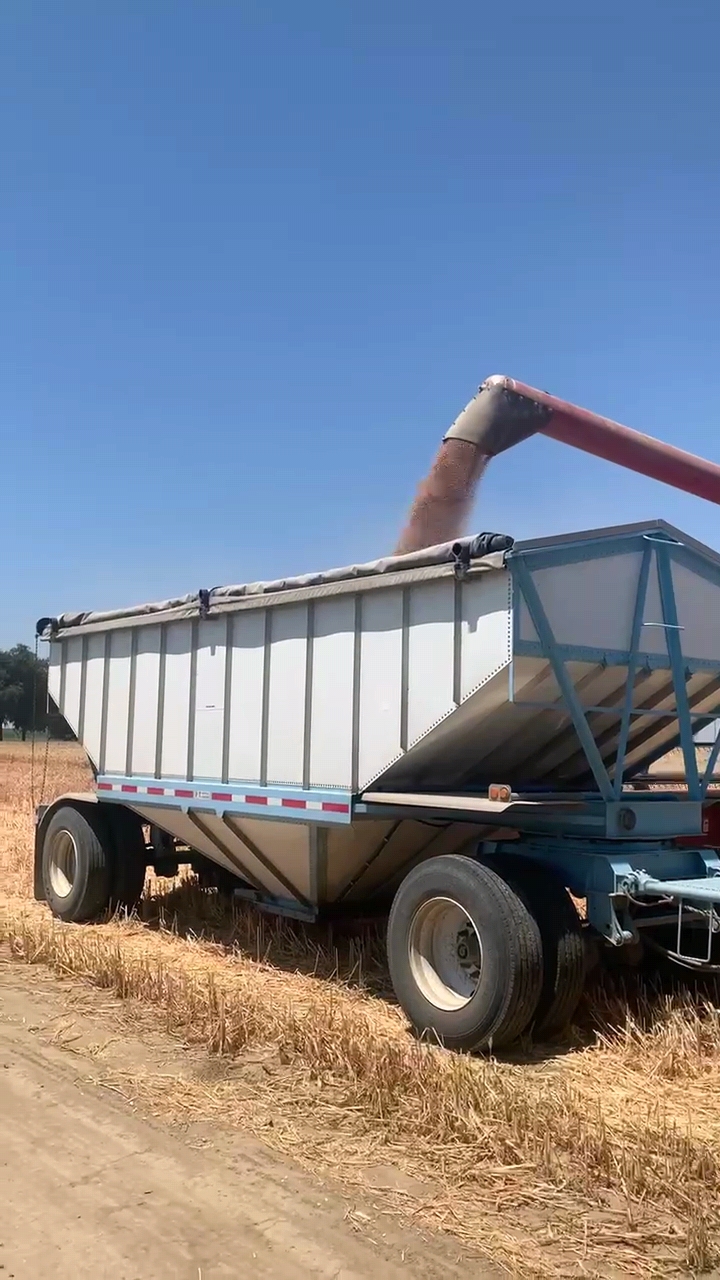 Hopper trailer loading grain